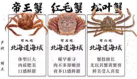 長腳蟹和帝王蟹的區別,長腳蟹和帝王蟹的區別哪個好吃縮略圖