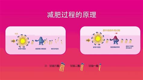 賽樂賽奧利司他減肥效果怎么樣(賽樂賽司他膠囊減肥效果怎樣)縮略圖