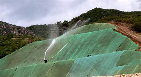 草籽噴播多少錢一平方(噴播草籽多少錢一平方)縮略圖