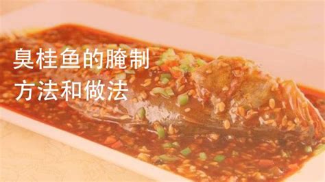 臭桂魚做法視頻(干鍋臭桂魚做法視頻)縮略圖
