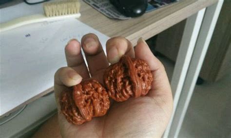 文玩核桃怎么上色快包漿快,文玩核桃怎么上色快包漿快一點縮略圖
