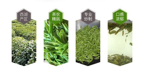 龍井綠茶500g價格表,龍井綠茶500g價格表最好的縮略圖