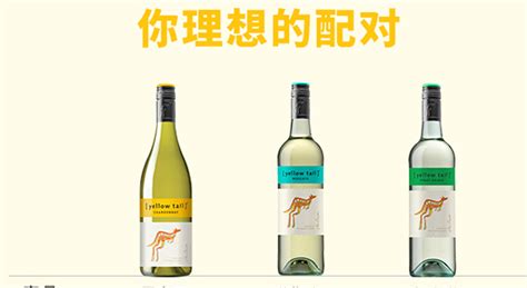 白葡萄酒什么味道,白葡萄酒什么味道最好縮略圖