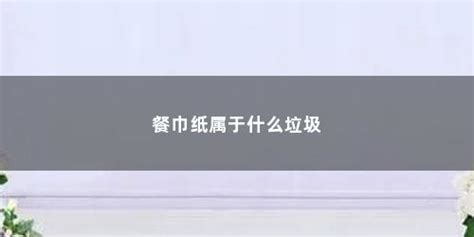 餐巾紙屬于什么垃圾(用過的餐巾紙屬于什么垃圾)縮略圖