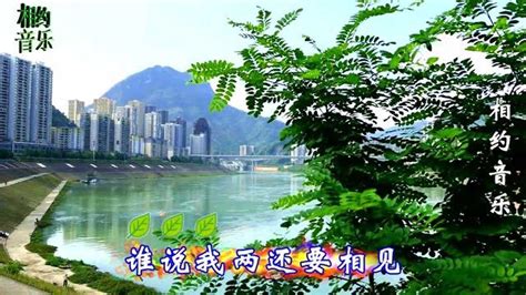 相思豆林翠萍傷感情歌(相思豆林翠萍演唱)縮略圖