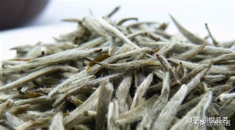 白毫銀針茶存放幾年(白毫銀針茶怎么存放)縮略圖