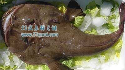 安康魚吃食視頻,安康魚吃貨主播縮略圖