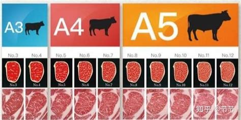 牦牛肉和普通牛肉的區(qū)別,牦牛肉和普通牛肉的區(qū)別圖片縮略圖