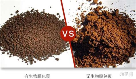 孢子粉是什么東西,靈芝孢子哪些人不適合吃縮略圖