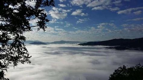 普洱旅游攻略必去景點(diǎn),普洱旅游攻略必去景點(diǎn)推薦縮略圖