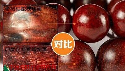 紅檀木屬于紅木嗎,紅豆杉木屬于紅木嗎縮略圖