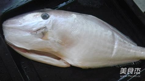 剝皮魚的皮怎么剝(剝皮魚的皮怎么剝掉的)縮略圖