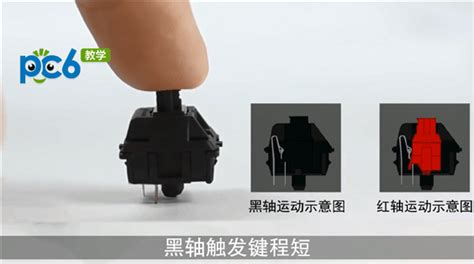 茶軸按壓多少g(茶軸按壓多少公斤算輕)縮略圖