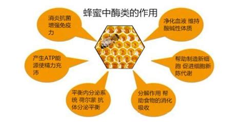 蜂巢蜜的功效與作用(蜂巢蜜的功效與作用及禁忌)縮略圖
