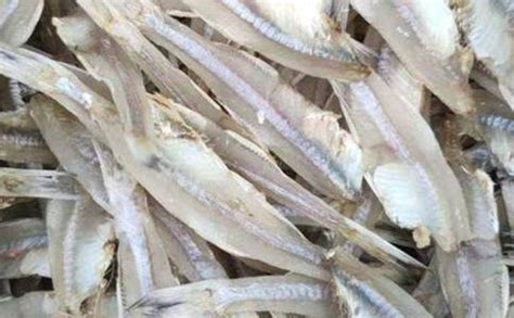 丁香魚干和銀魚干的區別,丁香魚干的營養價值及功效縮略圖