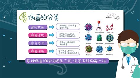 傳單病毒(傳單病毒感染是如何引起的)縮略圖