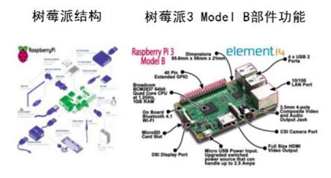 樹莓派的功能用途(樹莓派的功能用途是什么)縮略圖
