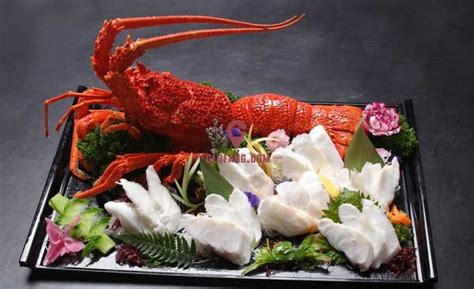 澳洲龍蝦養殖需要什么條件(澳洲龍蝦養殖需要什么條件才能養)縮略圖