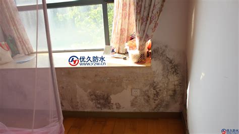 窗臺(tái)滲水(窗臺(tái)滲水找誰(shuí)維修)縮略圖
