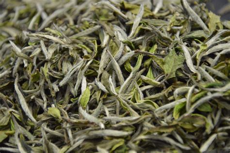 福鼎白茶白牡丹,福鼎白茶白牡丹價格縮略圖