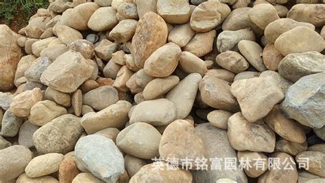 鵝卵石廠家鵝卵石批發(fā)(鵝卵石廠家鵝卵石批發(fā)價格)縮略圖