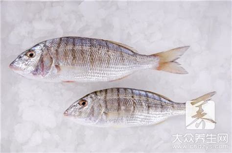 瑪麗魚公母對照圖(瑪麗魚公母對照圖片)縮略圖