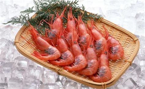 北極蝦怎么吃,北極甜蝦的最佳吃法縮略圖