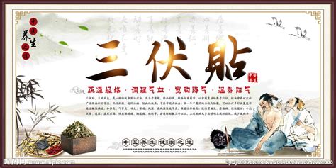 三伏貼的配方和劑量是多少,三伏貼的配方和劑量是多少克縮略圖
