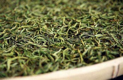 冰島茶葉,冰島茶葉價格縮略圖