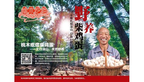 柴雞蛋全部小說(柴雞蛋全部小說下載)縮略圖