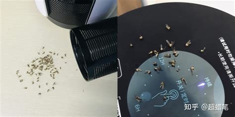 滅蚊燈有用嗎(滅蚊燈有用嗎有效果嗎)縮略圖