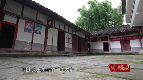 草鞋書記,草鞋書記楊善洲縮略圖