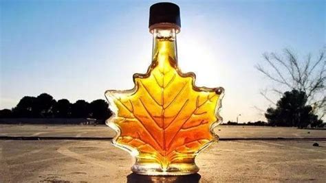 楓糖漿英文(楓糖漿英文怎么讀)縮略圖
