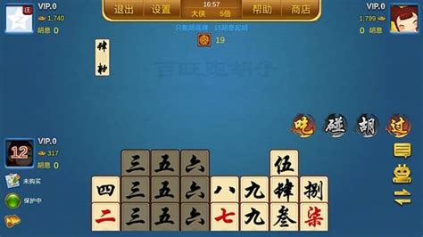 跑胡子官方免費下載(免費跑胡子下載安裝)縮略圖