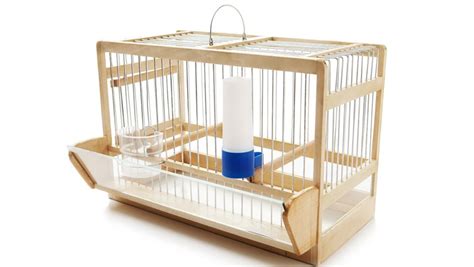 鳥籠子制作方法視頻(鳥籠子制作方法視頻鐵絲怎么做)縮略圖
