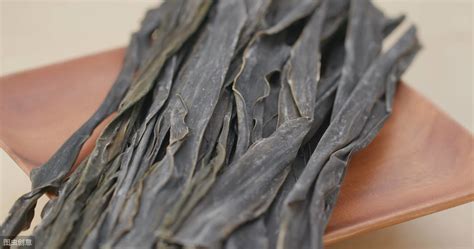 昆布汁是什么東西,昆布汁是什么東西做成的縮略圖