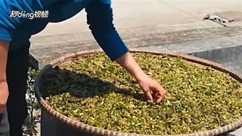 梅干菜制作方法,梅干菜制作方法全過程縮略圖