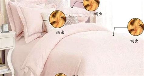床單多久洗一次比較好(床單多久換一次最好)縮略圖