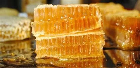 蜂巢蜜里面的蜂蠟能吃嗎,蜂巢蜜里面的蜂蠟可以吃嗎縮略圖