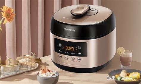 電飯鍋推薦,電飯鍋推薦知乎2023縮略圖