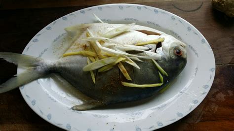 金昌魚多少錢一斤?(金昌魚多少錢一斤)縮略圖