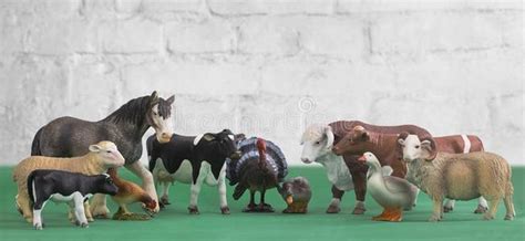 農場動物玩具(農場動物玩具視頻)縮略圖