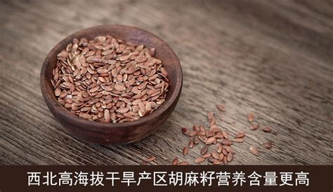 胡麻油哪個牌子好,胡麻油哪個牌子好吃縮略圖