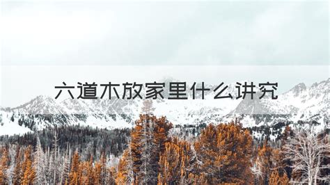 硅化木放在家里有什么危害,硅化木圖片及價格縮略圖