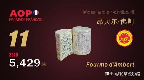 藍(lán)紋奶酪為什么這么臭(藍(lán)紋奶酪有多臭)縮略圖