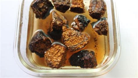 樺樹茸泡水喝有什么功效,樺樹茸泡水喝有什么功效和作用縮略圖