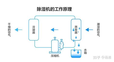 除濕機真的有用嗎(除濕機真的有用嗎多少錢)縮略圖