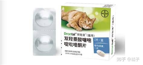 拜寵清驅(qū)蟲藥多少錢一顆(拜寵清驅(qū)蟲藥多少錢一盒)縮略圖