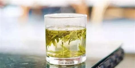 龍井茶屬于什么茶(龍井茶屬于什么茶功效是什么)縮略圖