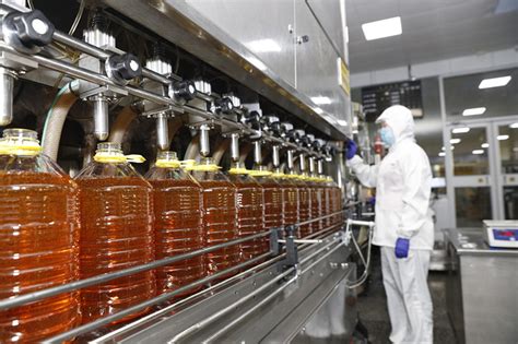 魯花花生油生產廠家,魯花花生油生產廠家在什么地方縮略圖